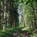 Vie&scaron;vilės rezervatas