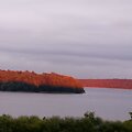 Plateliai