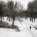 Vilnius Reformatų skveras žiemą