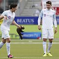 Kiaunė futbolo stadione &Scaron;veicarijoje.