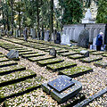 Sudervės žydų kapinės