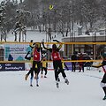 Sniego tinklinis