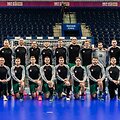 Lietuvos vyrų rankinio rinktinė 2020-siais
