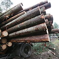 Nemenčinės plente mi&scaron;kovežis patyrė avariją