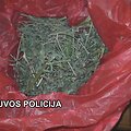 Sulaikyti įkalčiai