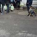 Įkalinimo įstaigų patikrinimas su tarnybiniais &scaron;unimis