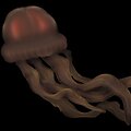 Stygiomedusa gigantea