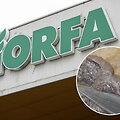 Prekybos centre &bdquo;Norfa&ldquo; pirkta žuvis