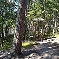 Baltijos pajūris, kur sudera gamtos begalybė ir žmogaus beprotybė