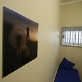 &Scaron;iauliuose naujai atidarytoje are&scaron;tinėje ant sienų kabo meniniai gamtos vaizdai