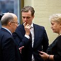Andrius Kubilius, Gabrielius Landsbergis, Rasa Budbergytė