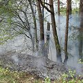 Mi&scaron;kininkas Raimundas Ereminas užfiksavo mi&scaron;ko gaisrą 
