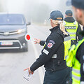 Lietuvos policijos akcija  &bdquo;&Scaron;vilpukas saugo&ldquo;