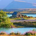 Tekapo ežero pakrantė, Naujoji Zelandija