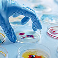 Laboratorija