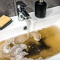 Užsikim&scaron;usi kriauklė