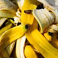 Bananų žievės