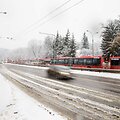 Narbuto gatvėje vėl strigo troleibusų eismas 