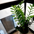 &bdquo;Lagom lofts&ldquo; pristatymas