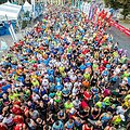 &bdquo;Danske Bank Vilniaus maratonas&ldquo;