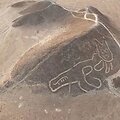Garsiojoje Naskos archeologinėje vietovėje Peru &ndash; katės pie&scaron;inys