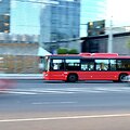 Vilniaus autobusas