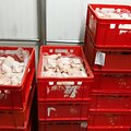 Kauno įmonei &bdquo;Dargita Tau&ldquo; uždrausta prekiauti nesaugia lenki&scaron;ka pauk&scaron;tiena