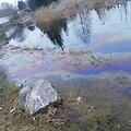 Pakruojyje į upę pateko naftos produktų, aplinkosaugininkai ie&scaron;ko tar&scaron;os &scaron;altinio