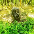 Antkapis augintiniui Pajūrio regioniniame parke