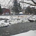 Grigi&scaron;kės