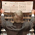 Muzikantas (asociatyvi nuotr.)