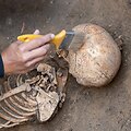 Archeologiniai kasinėjimai (asociatyvi nuotr.)
