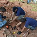 Archeologai, pietinėje Brazilijos dalyje atkasantys anksčiau nežinotos dinozaurų rū&scaron;ies fosilijas.