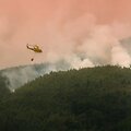 AFP-Scanpix nuotr.