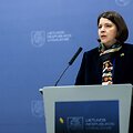 Žygimanto Gedvilos / BNS nuotr.