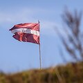 GINTS IVUSKANS / AFP