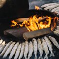 Neringos savivaldybės nuotr. Stintapūkis
