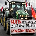 Grzegorz Celejewski/Agencja Wybo / Agencja Wyborcza.pl via REUTERS