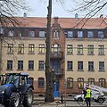 A. Vaitkaus nuotr. Kertamos liepos K. Donelaičio skvere Klaipėdoje