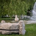 Kauno miesto savivaldybės nuotr.