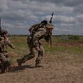 Ukrainos kariai