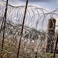 Per incidentą Lenkijos ir Baltarusijos pasienyje migrantas peiliu sužalojo Lenkijos karį / Fabian Sommer / dpa/picture-alliance