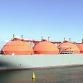 BNS nuotr.