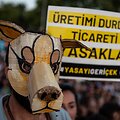 false / KEMAL ASLAN / AFP