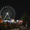 Rytų Vokietijoje užsiliepsnojus apžvalgos ratui sužeisti mažiausiai 23 žmonės / Heiko Rebsch / AP