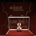 Lev Radin / ZUMAPRESS.com