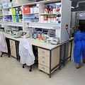 Pietų Afrikos Respublikoje / Esa Alexander / REUTERS