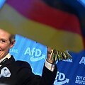 A. Weidel / Julian Stratenschulte / dpa/picture-alliance
