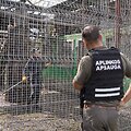 Klaipėdos zoologijos sodas / AAD nuotr.