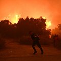 Gamtinis gaisras Graikijoje / ARIS MESSINIS / AFP